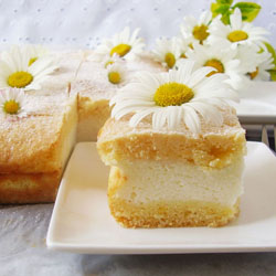 Greek Yogurt Pie Bars